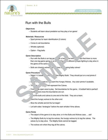 Run with the Bulls